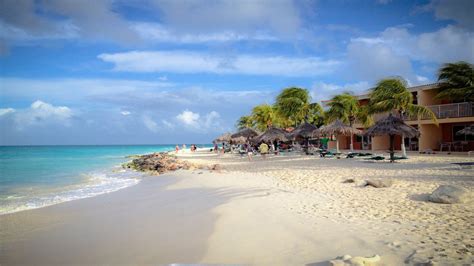 Tamarijn Beach Hotel Resort Oranjestad Aruba South America Photo