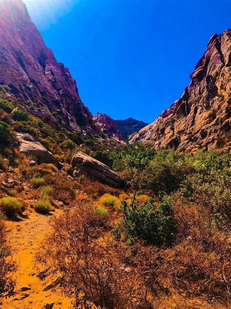 First Creek Canyon Trail Nevada Alltrails