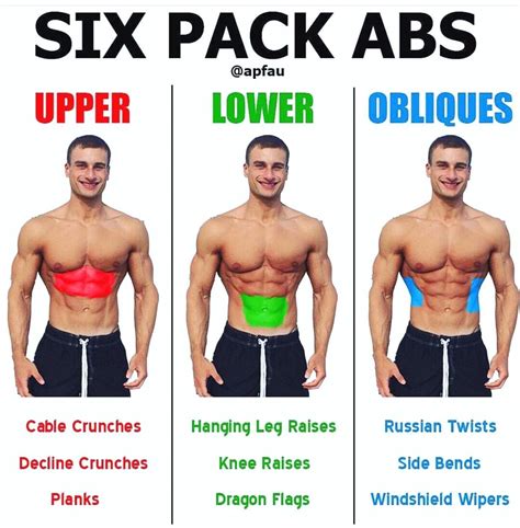 Gym Training Video Free Download Fitnessexercises Abs Workout Lower