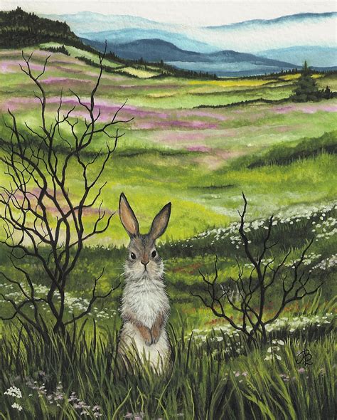 Art Of Amylyn Bihrle Latest Cottontail Rabbit Painting