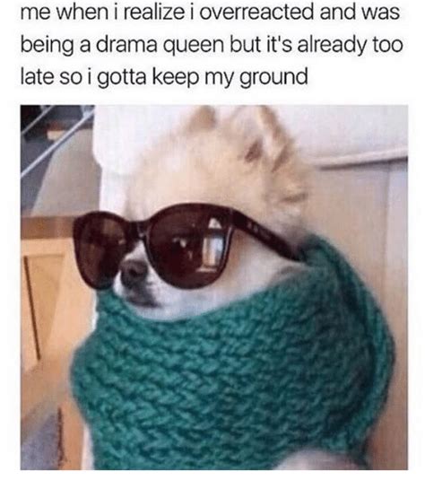 19 Dramatic Memes About Being Way Too Extra