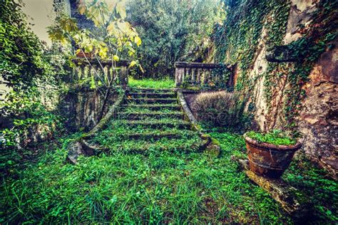 Green Abandoned Garden In Tuscany Stock Image Image Of Pontivy