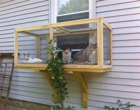 Screened Cat Porches Are A Great Way To Keep Your Kitty Safe In 2020