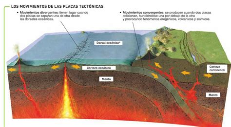 Bordes Convergentes Y Divergentes Tectonica De Placas Movimientos De