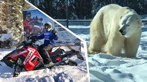 Snowmobiling To Polar Bears Cochrane Ontario Youtube