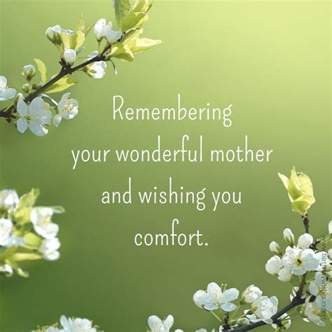 Sympathy Messages For The Loss Of A Mother I M Sorry She S Gone