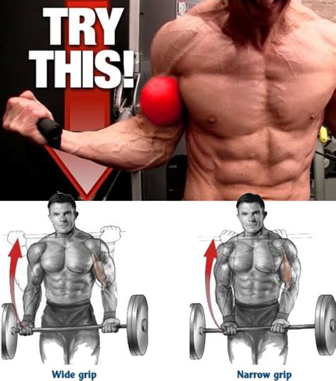 🔥top 3 Biceps Destroyed Bicep Workouts For Mass Barbell Curl Biceps
