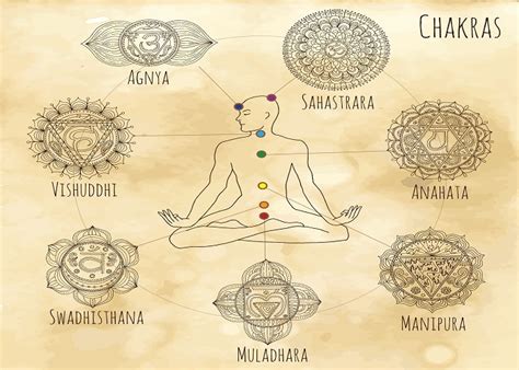 The Hara Chakra Activating The Power Of Your Sacral