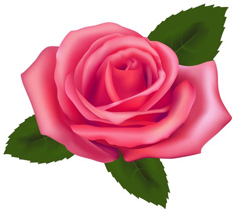 Polish your personal project or design with these flower line art transparent png images, make it even more personalized and more attractive. 76 Free Rose Clip Art - Cliparting.com