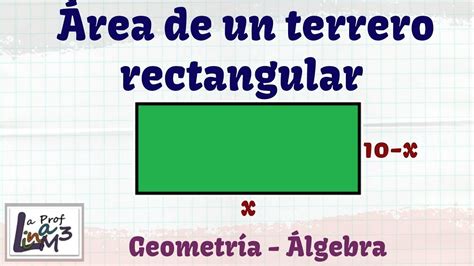 C Mo Calcular La Superficie De Un Terreno Rectangular Educaci N Activa