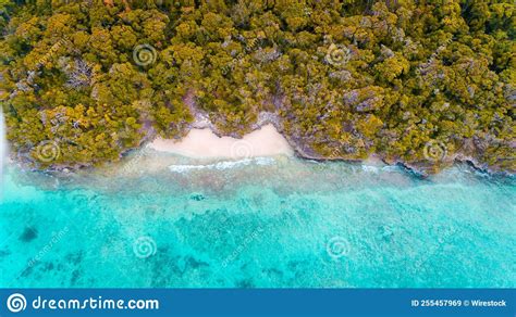 Aerial Drone Shot Of Beautiful Ocean Sandy Beach And Green Pungume