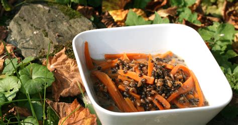 200 g de lentilles noires beluga 4 carottes 1 panais quelques feuilles de céleri 2 oignons 1 cuillère à soupe 1/2 d'huile de noisette 4 darnes de sau. Lentilles beluga, épeautre et carottes au lait de coco ...