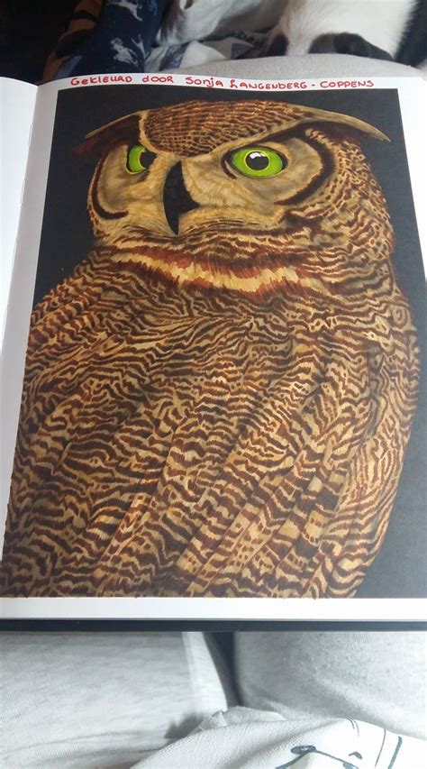 This set of 5 has different styles. Great Horned Owl by Sonja Langenberg-Coppens (With images ...