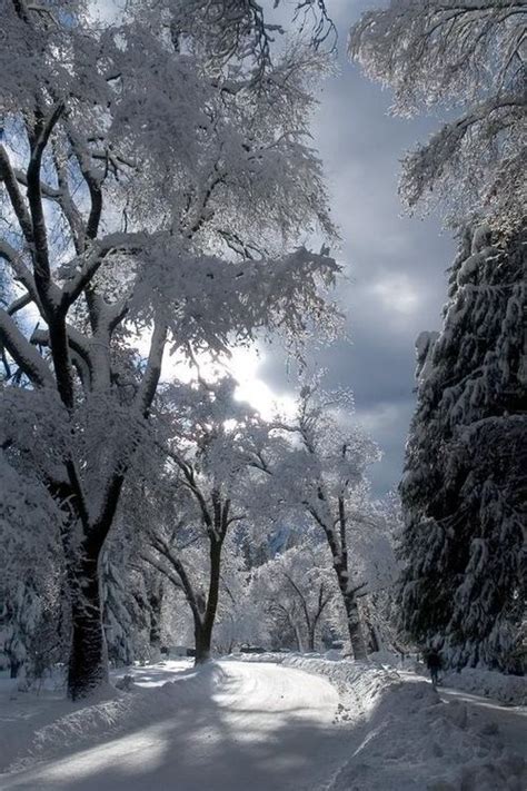 Beautiful Snow Winter Scenes Pinterest