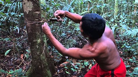 Amazon Jungle Survival Tatuyu Indian Brazil Youtube