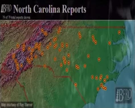 North Carolina Bigfoot Group Is Hot On The Trail Of The Elusive Cryptid