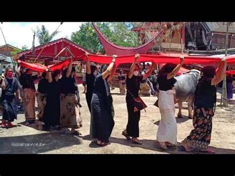 Unik Tradisi Adat Toraja Ma Palao Peti Almh Yohana Sanda Di Arak²