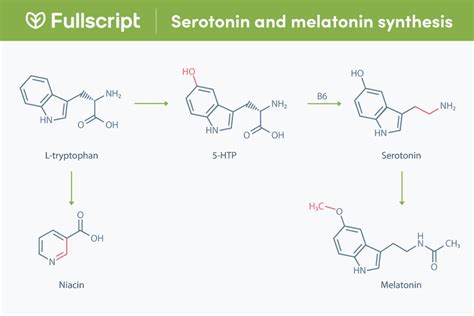 L Tryptophan An Essential Amino Acid Fullscript