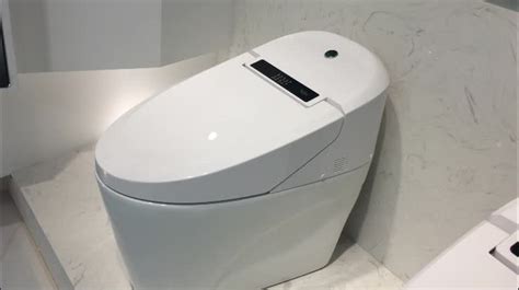 Antibacterial Dual Nozzle Smart Toilet Seat Automatic Self Clean