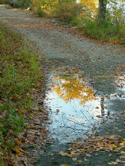 Autumn Puddle Stanley Zimny Thank You For 64 Million Views Flickr