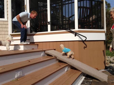 For written instructions and links t. Diy Exterior Dog Ramp | Stair Design Ideas | Dog ramp, Dog ...