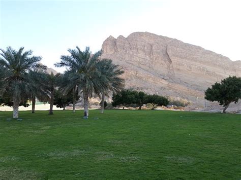 Check spelling or type a new query. Green Mubazzarah (Abu Dhabi) - 2019 All You Need to Know ...