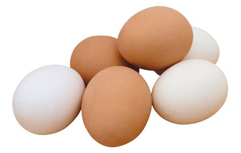 Eggs - health benefits and nutrition facts