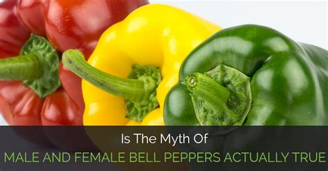 Is The Myth Of Male And Female Bell Peppers Actually True