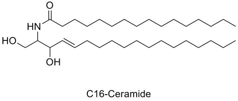 Ceramides What The Eff Are They And Why Are They In My Cream Lab