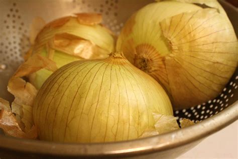 Onions Picture | Free Photograph | Photos Public Domain