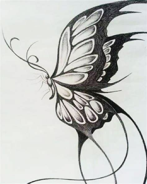 Pin By Ashleigh Mouchette On Sketch Draw Paint Butterfly Art Drawing