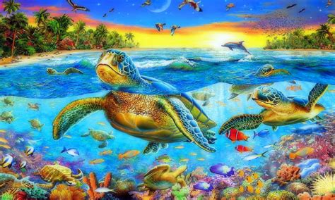 Sea Ocean Sea Turtles Swimming Corals Exotic Colorful Fish