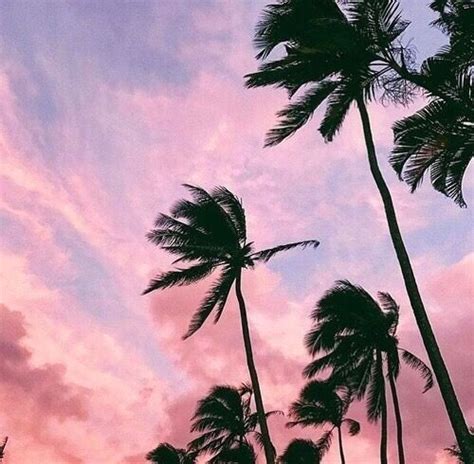 Pin By Shaybaby On Pinkaesthetic Summer Sky Summer Vibes