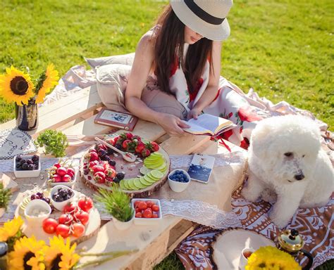 How To Plan An Effortlessly Elegant Picnic Picnic Style Party