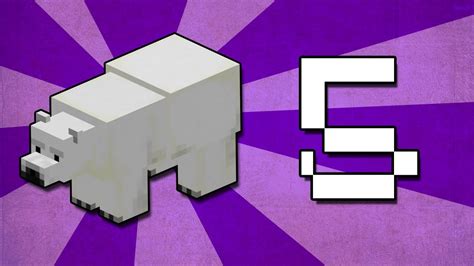 Minecraft 5 Things You Didnt Know About Polar Bears Youtube