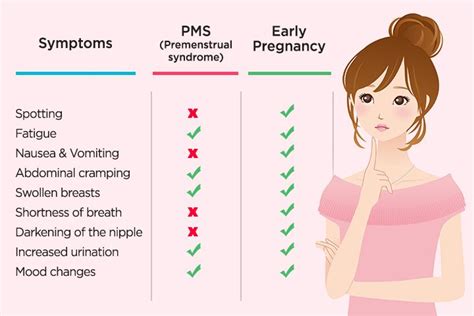 Pregnancy Symptoms In Early Weeks Pregnancy Sympthom
