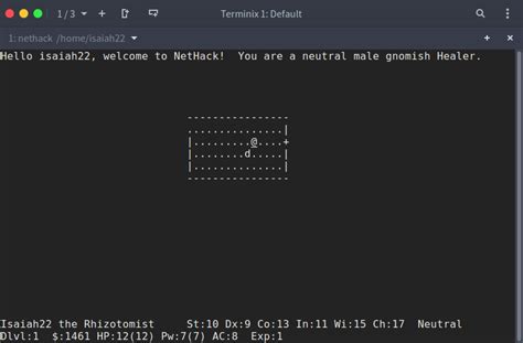 6 Of The Best Terminal Based Cli Games For Linux
