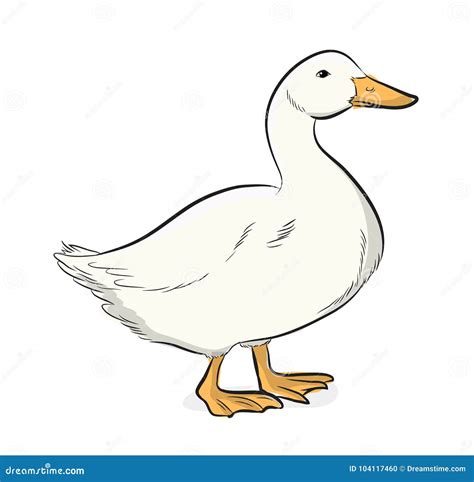 Cartoon Duck Vector Illustration Stock Vector Illustration Of Healthy