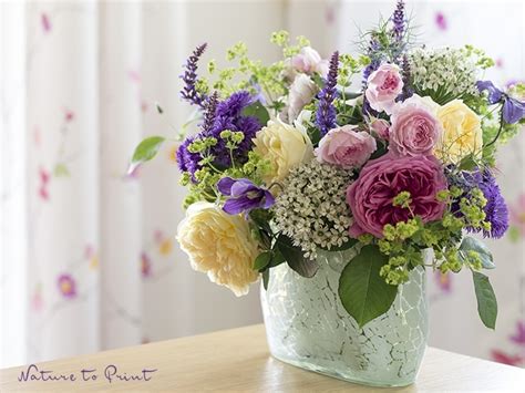 Damit ist man für jeden geburtstag gerüstet. Ein Blumenstrauß mit Englischen Rosen, frisch aus dem Garten.