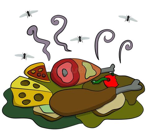 Rotten Food Humorous Cartoon Illustration Of Rotting Food With Flies