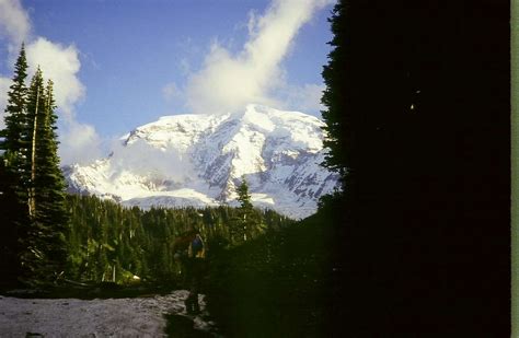 Mount Rainier Photos Diagrams And Topos Summitpost