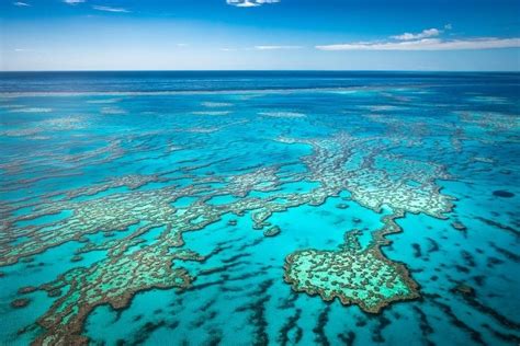15 Best Great Barrier Reef Tours From Cairns Tourscanner