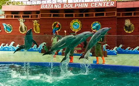 Roy ismail 3.113 views1 year ago. Htm Pantal Sigandu Batang / Wisata Murah Taman Safari Indonesia Batang Dolphin Center Jawa ...