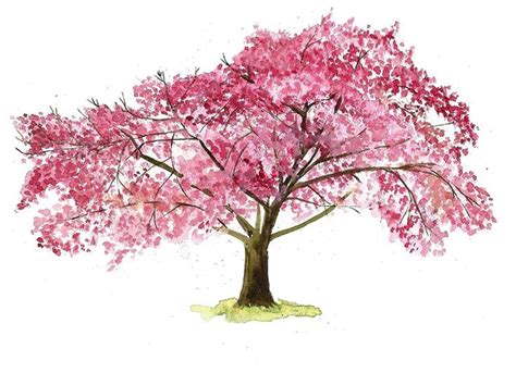 Pin By Calena Gray On Tattoos Cherry Blossom Art Cherries Painting