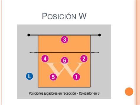 Collection Of Sistemas De Recepcion En Voleibol W Curso B 225 Sico De