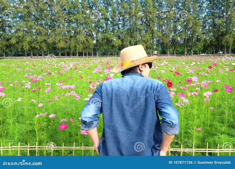 Man S Back Wearing Straw Hat While Looking At Flower Garden Stock