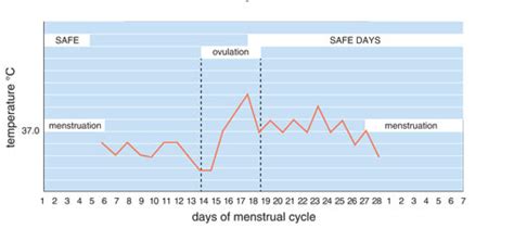 Basal temperature during pregnancy in the early period really varies greatly. Graph showing of basal body temperature variations during ...