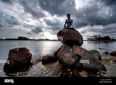 The Little Mermaid Statue In Copenhagen Harbor Hi Res Stock Photography