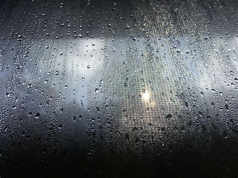 Raindrops On The Glass Smithsonian Photo Contest Smithsonian Magazine