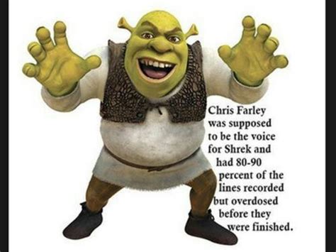 Pin By Whitney Condit On Its Funny Because It Is True Shrek